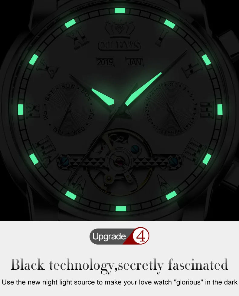 Ptolemy Skeleton Watch – Automatic Mechanical, Waterproof & Steel Elegance