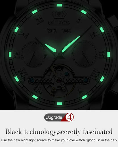 Ptolemy Skeleton Watch – Automatic Mechanical, Waterproof & Steel Elegance