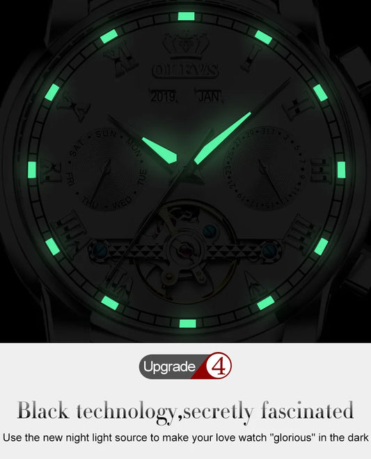 Ptolemy Skeleton Watch – Automatic Mechanical, Waterproof & Steel Elegance