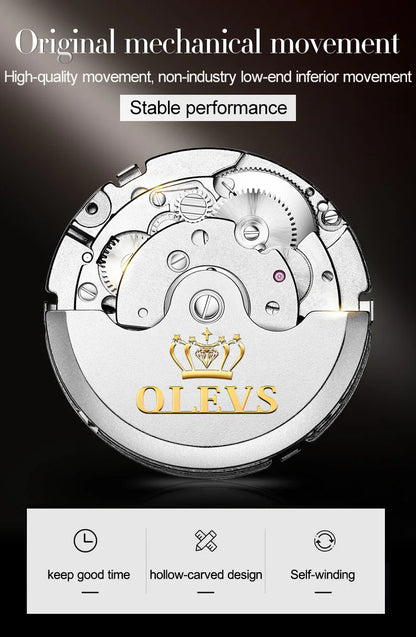 Ptolemy Skeleton Watch – Automatic Mechanical, Waterproof & Steel Elegance