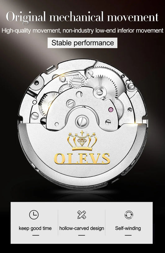 Ptolemy Skeleton Watch – Automatic Mechanical, Waterproof & Steel Elegance