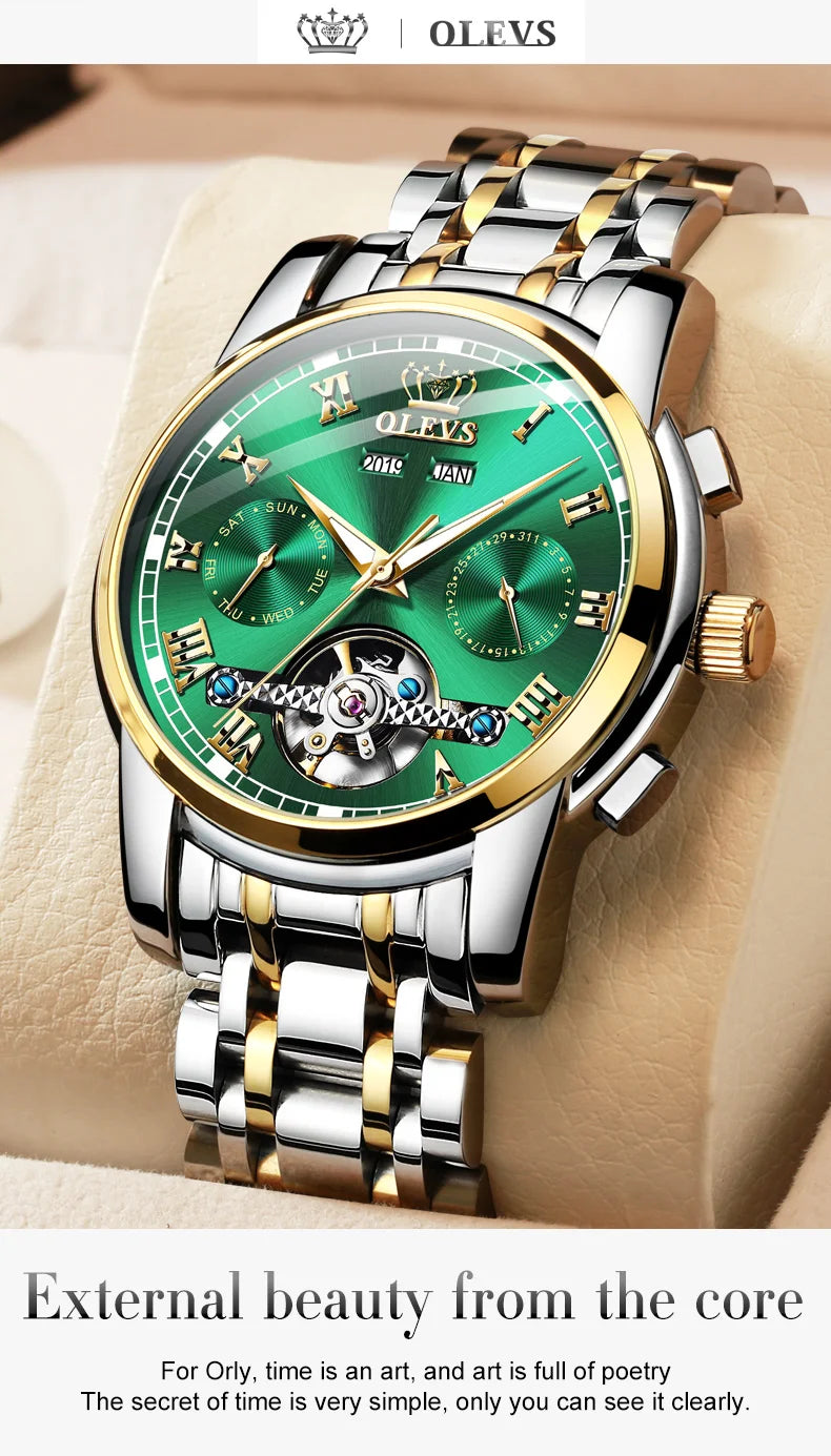 Ptolemy Skeleton Watch – Automatic Mechanical, Waterproof & Steel Elegance