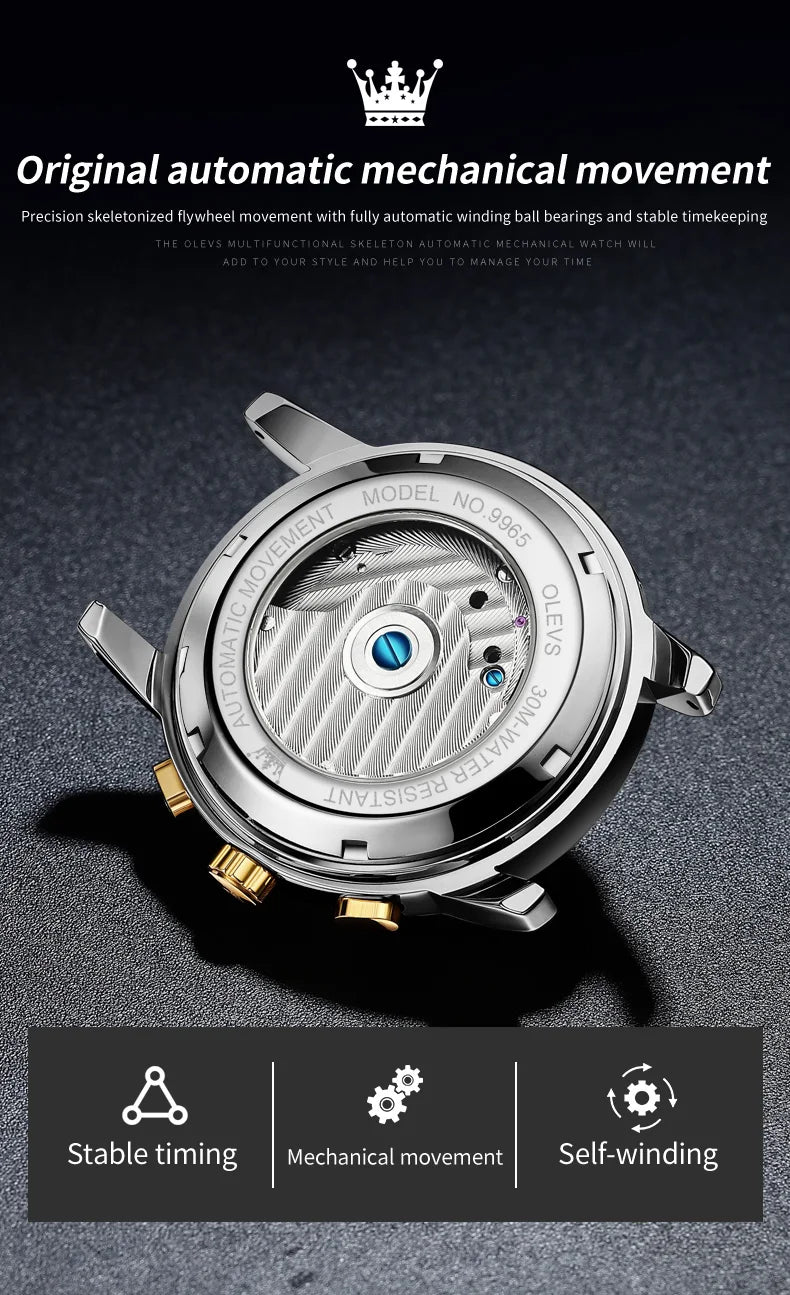 Ptolemy Mechanical Watch – Hollow Design, Moonphase & Luminous Precision