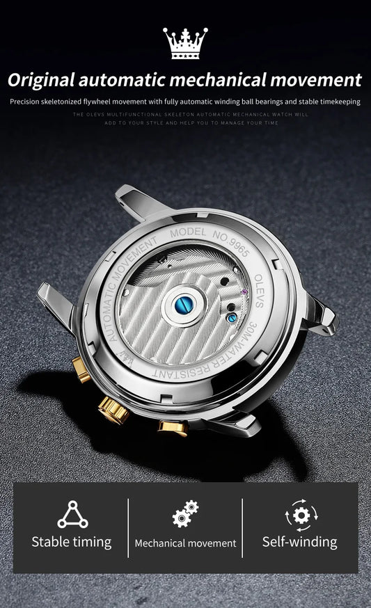 Ptolemy Mechanical Watch – Hollow Design, Moonphase & Luminous Precision