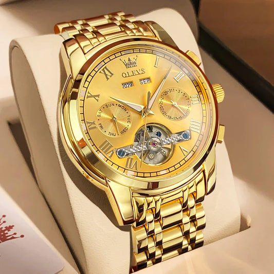 Ptolemy Skeleton Watch – Automatic Mechanical, Waterproof & Steel Elegance